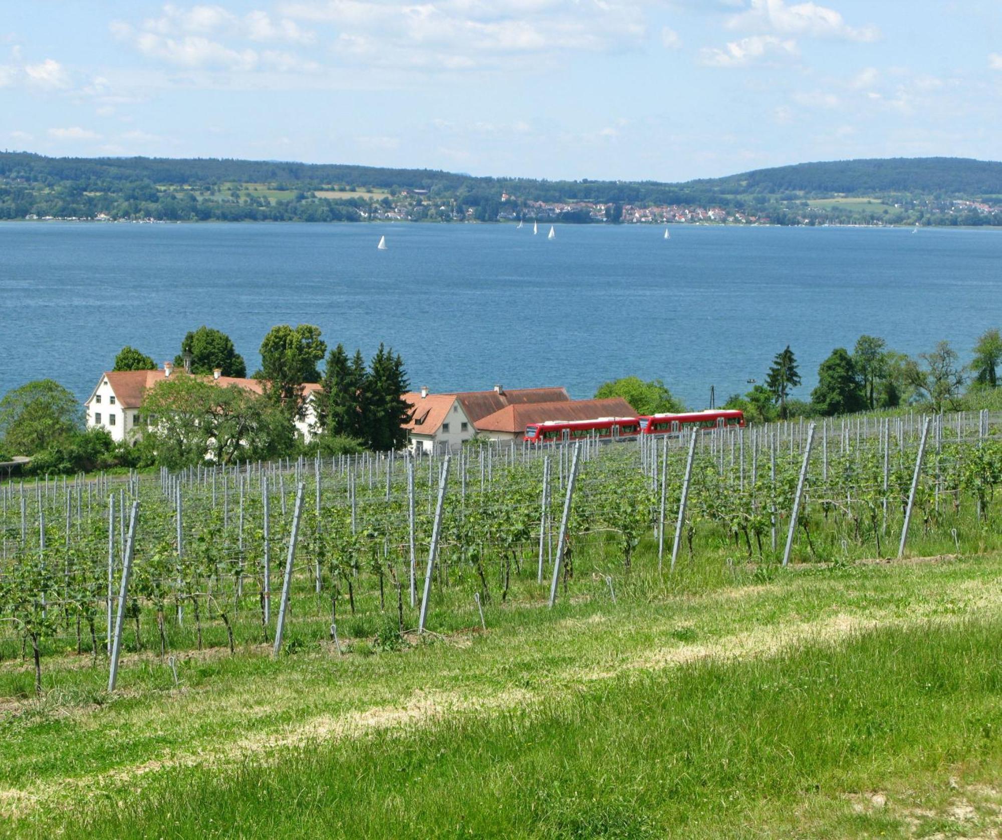 Apartmán Ueberlinger Ferienidylle Uberlingen Exteriér fotografie